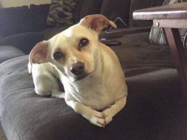 ๐