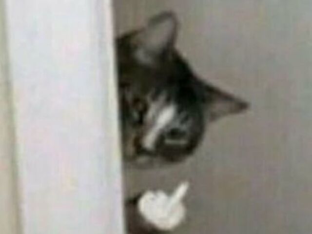 ๐๐๐ณ