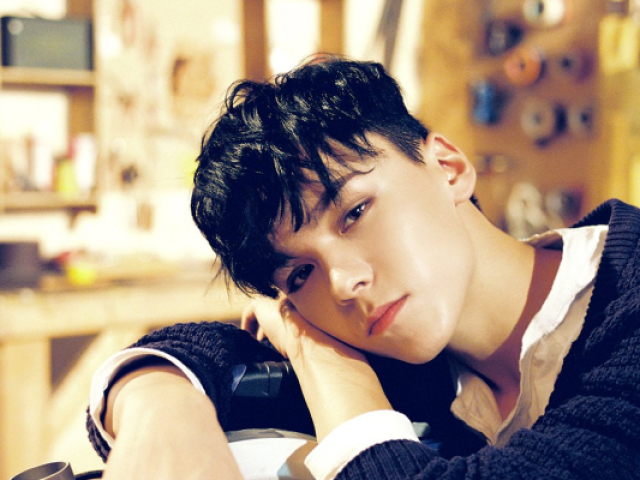 🍁 vernon - seventeen🍁