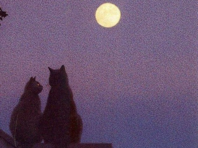 Bruno Mars - Talking To The Moon