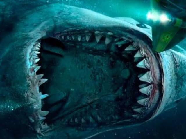 Megalodon