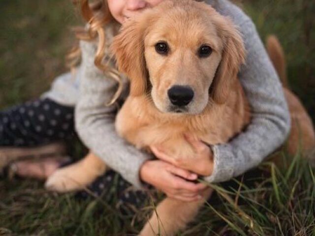 Qual raça de cachorro é perfeita para você?