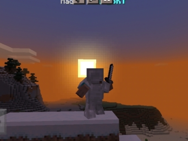 Você conhece o Minecraft?