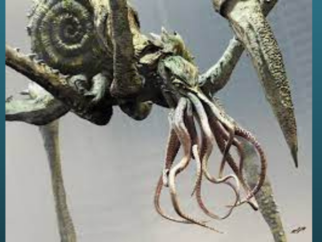 Scylla