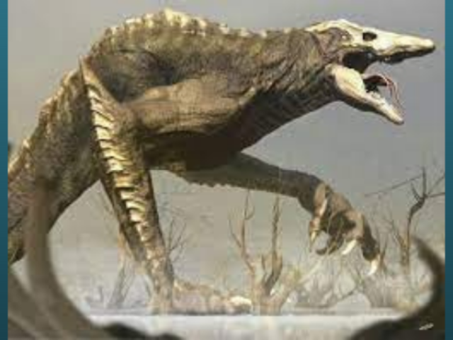 Skull Crawler