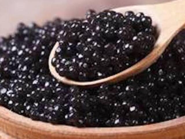 Caviar