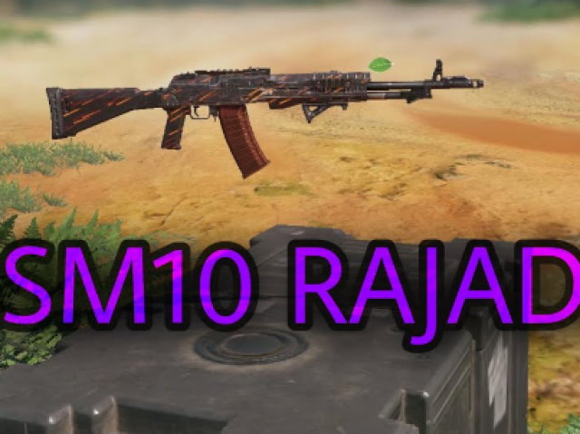 ASM10 Rajada