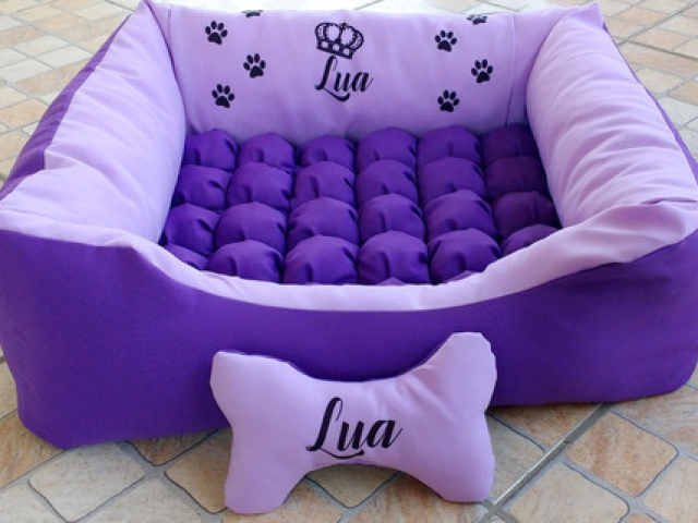 cama de cão