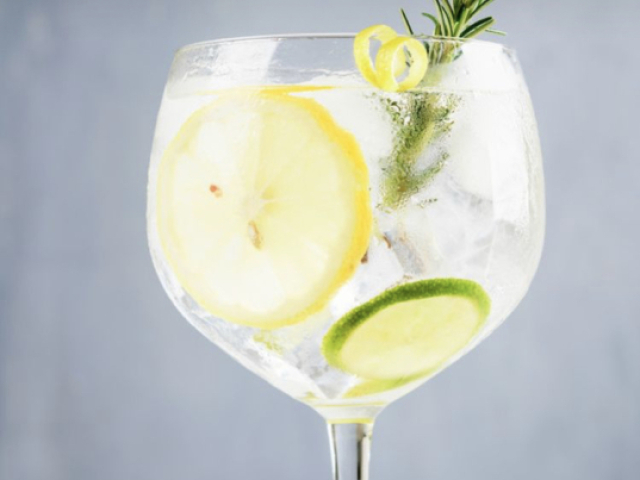 Gin (complementos a se decidir posteriormente)