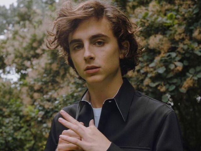 timotheé chalamet