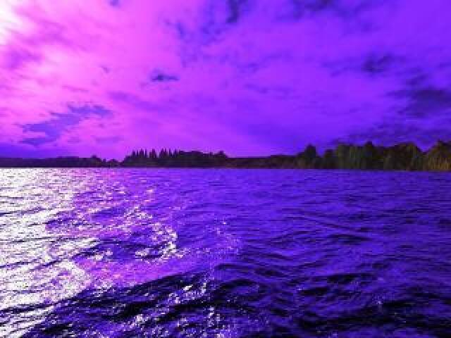roxo