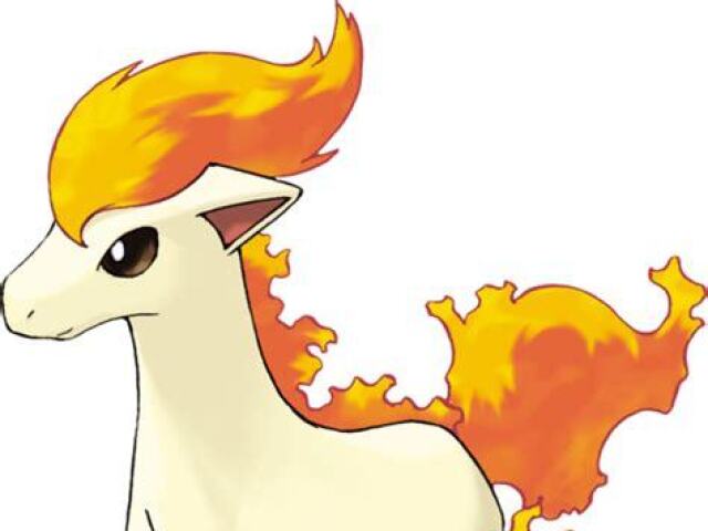 Ponyta