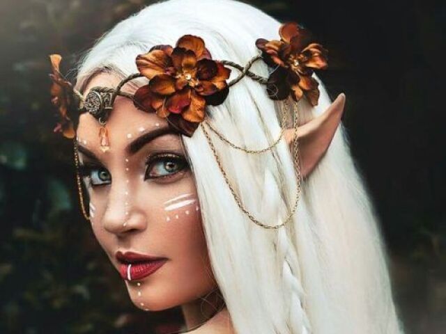 Elfa