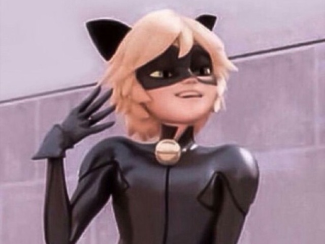 Cat noir (miraculous)