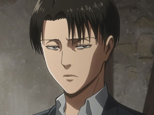 Levi