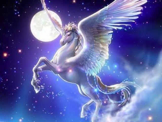 Alicornio