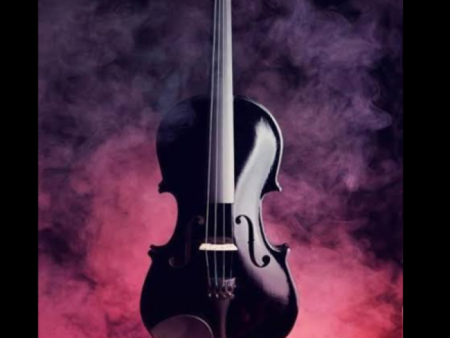 Violino