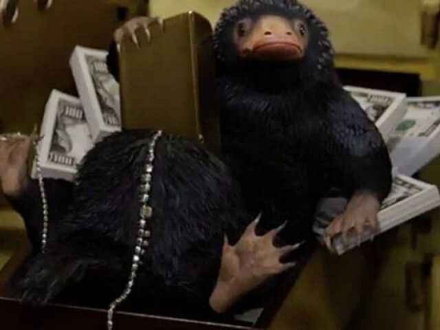 Pelúcio