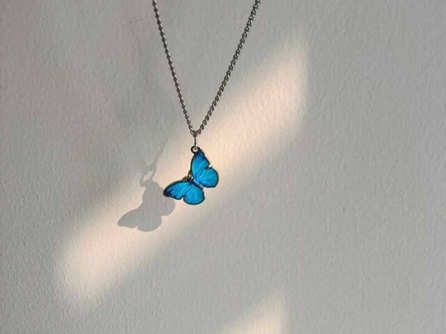 🦋