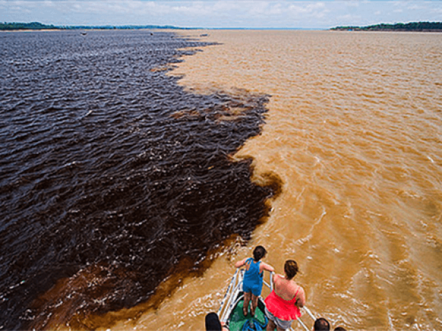 Encontro das águas - Amazonas