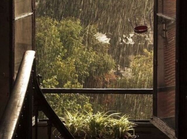 Um dia de chuva🌧