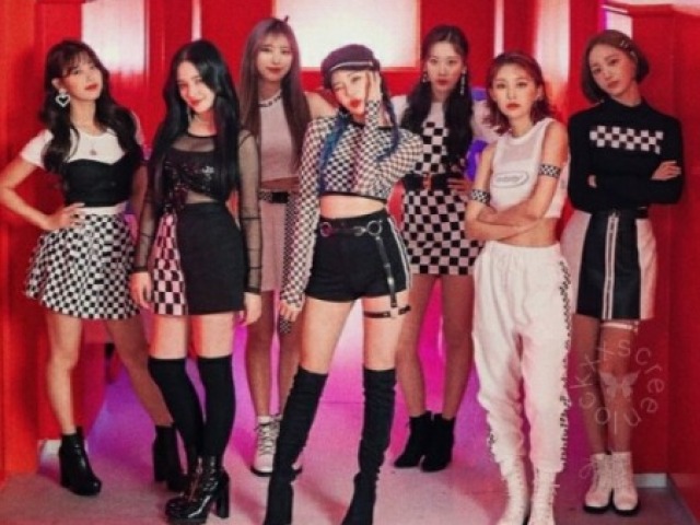 Momoland 🍩