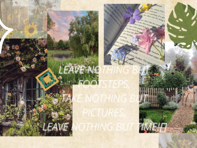 ・゚:*♡𐐪𐑂・゚゚・。⚘ *:.