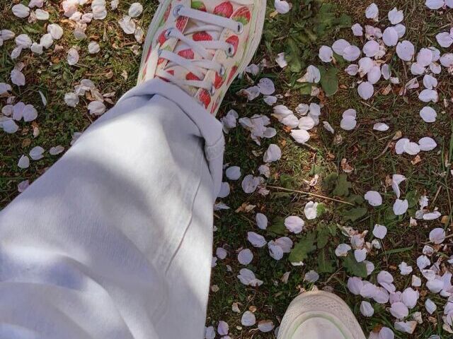 Soft!