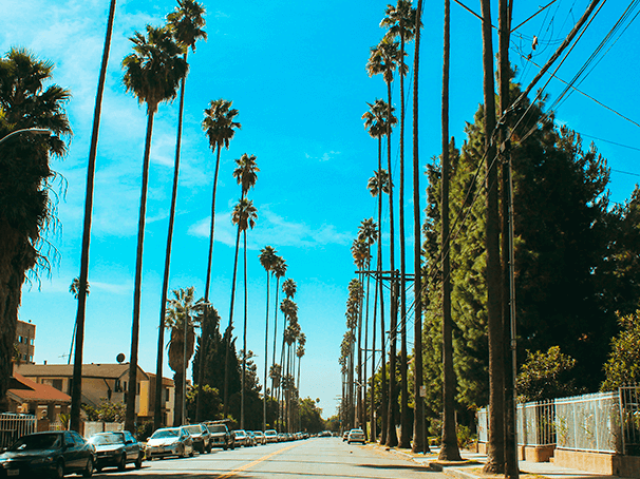 los angeles