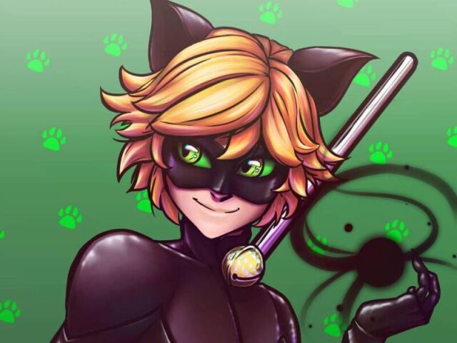 Cat Noir