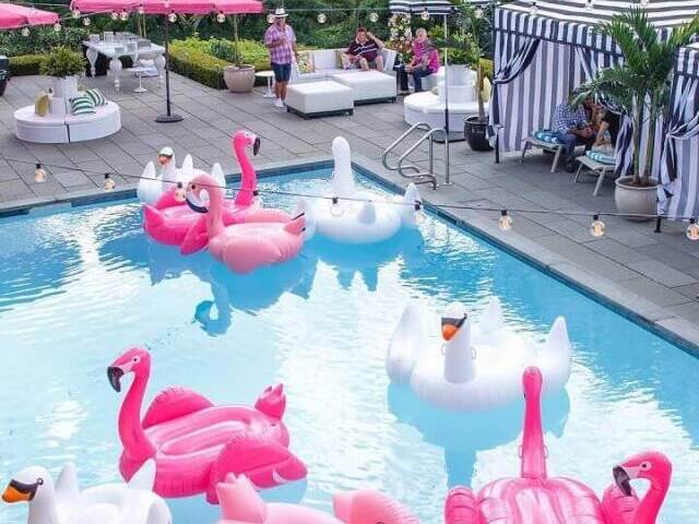 Flamingo. Amooo