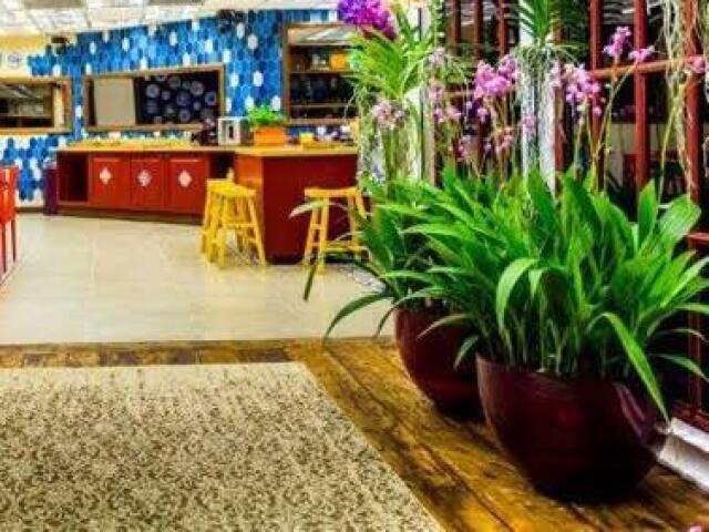 'Planta' da edição!