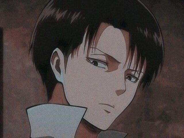 Levi