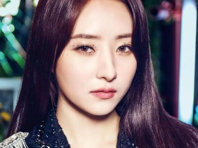 SuA (dreamcatcher,)