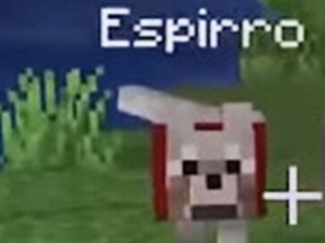 Parabéns você é o Espirro!