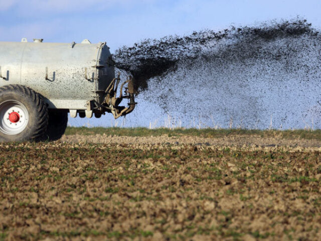 São o uso de fertilizantes; o despejo correto dos solos e o mantimento.