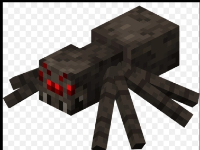 Aranha