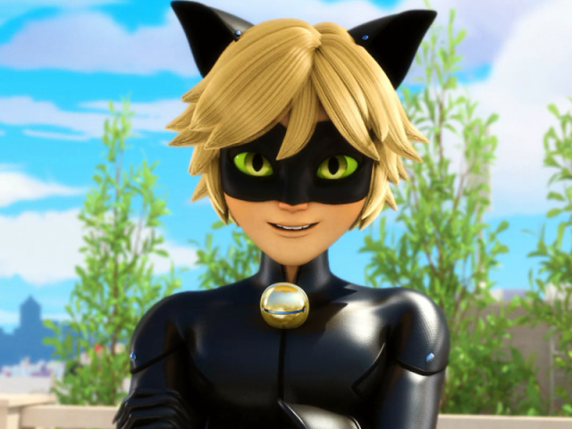 Cat Noir