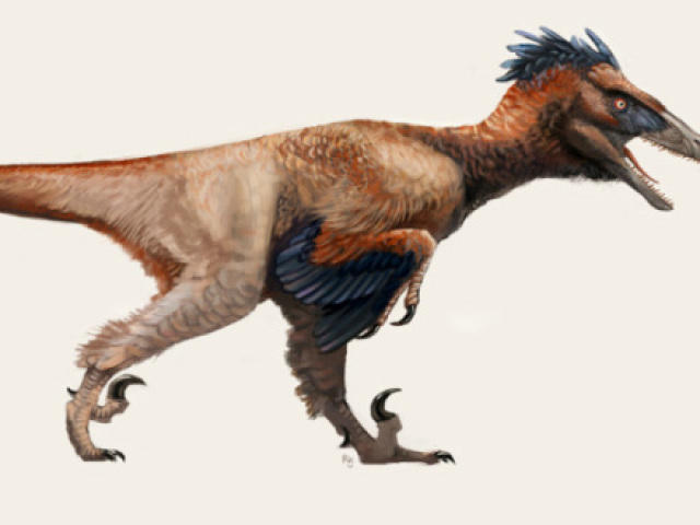 Utahraptor