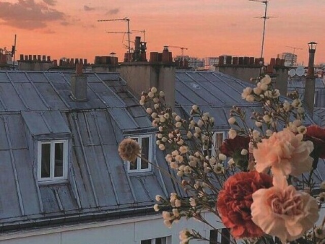 Ver o pôr do sol em Paris🌸🌟