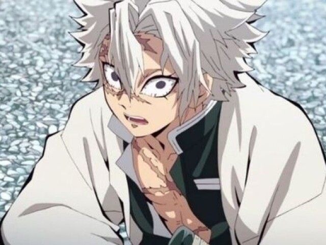 Sanemi shinazugawa!