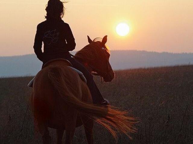 Andar a Cavalo ๐