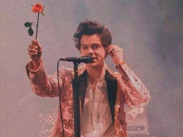 Harry Styles 🎆🌹