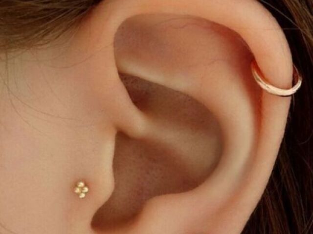 TRAGUS ( IGNOREM O OUTRO )