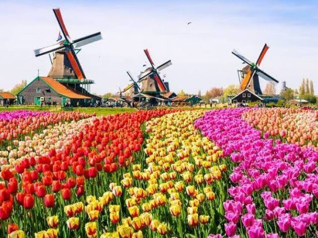 Holanda