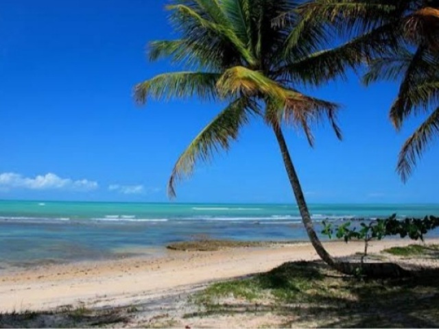 Uma praia para relachamos