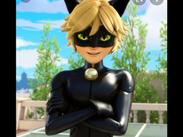 Cat Noir