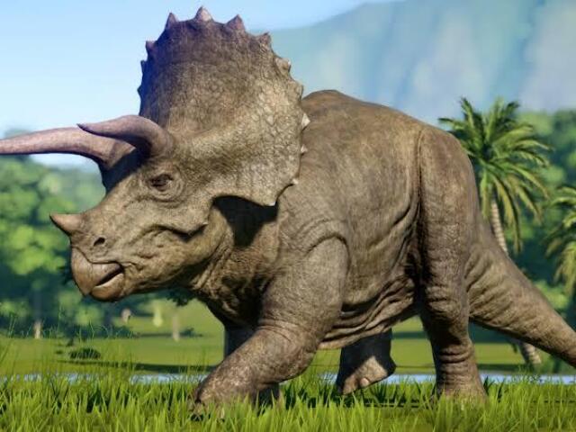 Triceratops