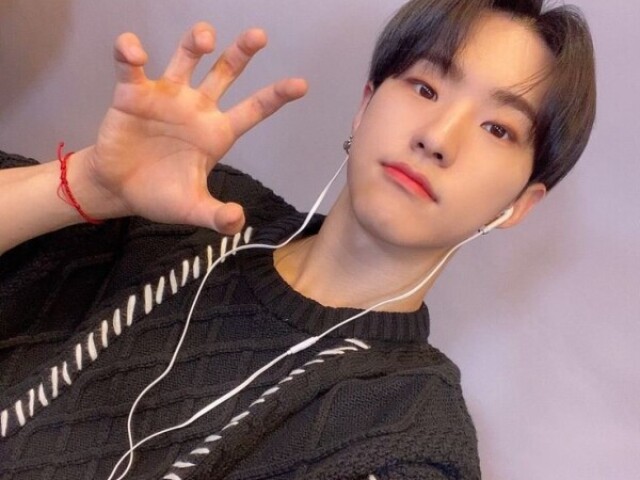 Hoshi -Seventeen-❤️