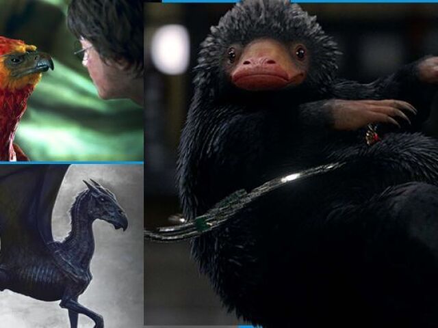 Você realmente conhece as criaturas mágicas de Harry Potter e Animais Fantásticos